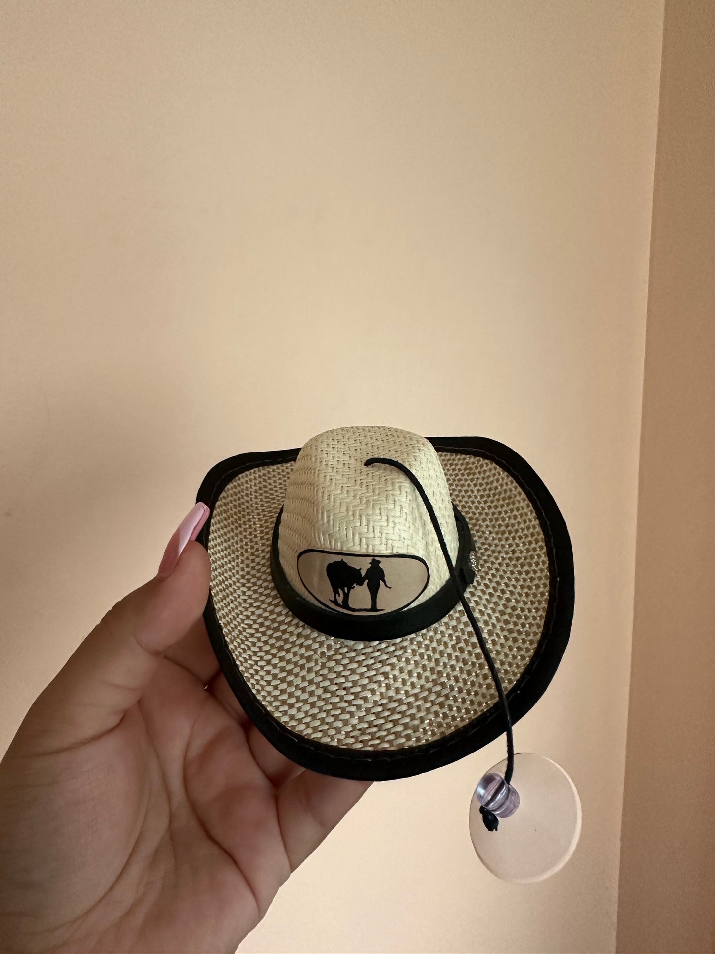 Mexico brown hat